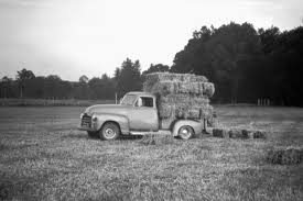 Image result for Bell Blue Gray 1964 Truck