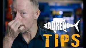 Instagram Live Session- EqualizationsTechniques from Ted Harty