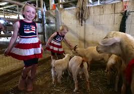 All american petting zoo updated their profile picture. Rodeo Prgz8294 Honolulu Civil Beat