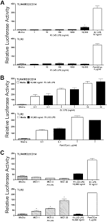 Response Of Hek293t Cells Transiently Transfected With