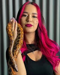 Fotos Do Pink Color Dos Rosa