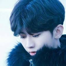 How to get a refund from Tiny Tokyo Toys?