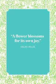 We did not find results for: 35 Inspirational Flower Quotes Best Quotes About Flowers