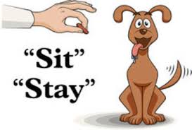 Operant Conditioning Examples