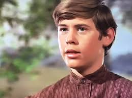 The Virginian" Bitter Harvest (TV Episode 1967)