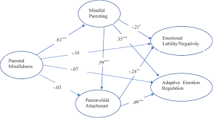 I'm doing this for myself. Parental Mindfulness And Preschool Children S Emotion Regulation The Role Of Mindful Parenting And Secure Parent Child Attachment Springerlink