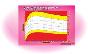 Berikut dikongsikan maklumat berkaitan bmi serta cara mengira bmi menggunakan formula ringkas dan mudah. Cara Kira Bmi Untuk Dewasa Kanak Kanak Ibu Mengandung