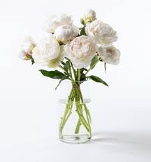 Check spelling or type a new query. White Peonies Bouquet Norway Abcflora Com