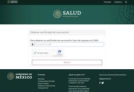 Cómo se recibe el certificado. Covid 19 Como Descargar En Mexico El Certificado De Vacunacion El Informador