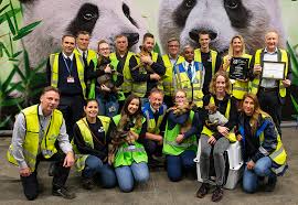 Members have their own companies and are located in more than 75 countries around the world. Top Dog Air France Klm Is The Cat S Whiskers For Pet Transport