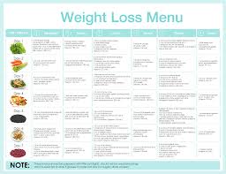 best weight loss plans best car