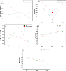 Image result for Jamesbrittenia fodina × huillana