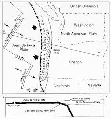 Answered] What Is The Typical Rate Of Seafloor Spreading? 20-25 - Kunduz