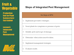 In ipm, pesticides are used in combination with other crop management approaches to minimize the effects of pests while. Fruit Vegetable Production Unit For Plant Science Core Curriculum Lesson 4 Integrated Pest Management Fruit Vegetable Production Unit For Plant Science Ppt Download