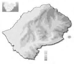 Image result for Styppeiochloa gynoglossa