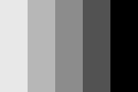 Make a black and white picture in paint. Black Grey White Color Palette In 2020 Grey Color Palette Black Color Palette Grey Color Pallets