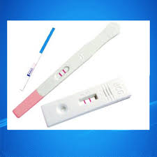 The first area it reaches is the reaction zone. China Hcg Early Pregnancy Test Strip China Pregnancy Test Kit Pregnancy Test Strips