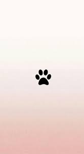 35 Neue Ideen Hunde Wallpaper Phone Hintergrunde Iphone Hintergrunde Disneyphoneback 35 Neue Ideen H Hunde Tapete Hintergrund Iphone Iphone Hintegrunde Wir sind die agila haustierversicherung und wir haben ein großes herz für hunde!