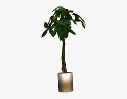 Pngtree provides you with 1,911 free transparent potted plant png, vector, clipart images and psd files. Dead Rising Potted Plant Potted Plant Png Transparent Background Free Transparent Png Download Pngkey