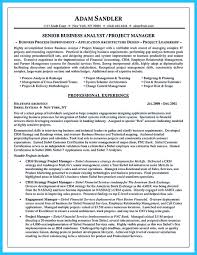 Make The Most Magnificent Business Manager Resume For Brighter Future