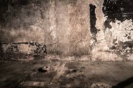 Nur wenige personen kamen dem zentrum der massenvernichtung so nah und konnten später darüber zeugnis ablegen wie. Kz Auschwitz Birkenau Detailaufnahmen N Ost Photo