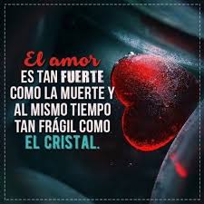 Es por eso que queremos dejarte hoy, en este post, una importante selección de imágenes chidas con mensajes divertidos para matarte de risa con tus amigos y gente querida. Descargar Gratis Imagenes Chidas De Desamor Para Celular Informacion Imagenes