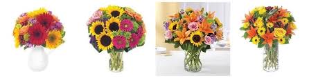 Maybe you would like to learn more about one of these? The 8 Best Options For Flower Delivery In Redding California 2021