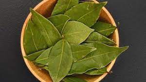 Sebab daun salam mengandung vitamin a, vitamin c dan asam folat. Ampuh Turunkan Tekanan Darah Tinggi Ini Manfaat Lain Dari Air Rebusan Daun Salam Halaman All Tribun Jambi