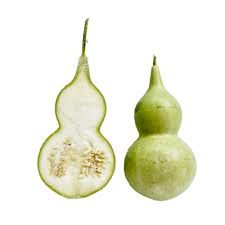 Image result for Lagenaria abyssinica