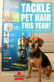 Bissell Pet Hair Eraser Lift Off Reviews Tackle Pet Hair In The New Year With The Bissell Pet Hair Eraser Lift Off Vacuum Bissell Pet Hair Eraser Pet Hair Pets