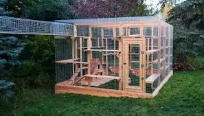 Choose from economy, standard or super grades to. Edmonton Couple Builds Purrfect Catios For Felines To Play Outdoors