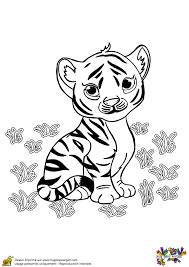 Coloriage Bebe Tigre Sur Hugolescargot Com