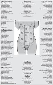 Pin On Ultrasound