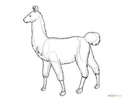 How To Draw A Llama Llama Drawing Drawings Animal Drawings