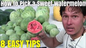 How do you choose a good watermelon? How To Pick A Sweet Watermelon Every Single Time Top 8 Tips The Online Q A Community And Marketplace For Global Farmers