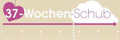 Wachstumsschub Baby 8 Baby Schube Im Uberblick Kidsgo