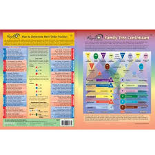 Birth Order Characteristics Chart Pdf Understanding Your Personality By Your Birth Order Naturopathic Care
