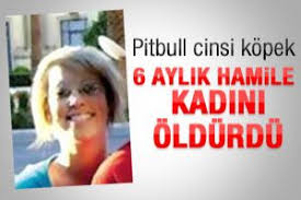 Pitbull Hamile Kadini Oldurdu Bursada Bugun Bursa Bursa Haber Bursa Haberi Bursa Haberleri Bursa