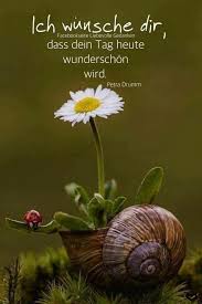Wunsche Ich Dir Auch Liebster Schonen Tag Spruche Bilder Schone Spruche