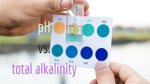 Total Alkalinity Vs Ph And Their Roles In Water Chemistry