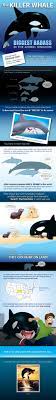 Pin On Fun Infographics