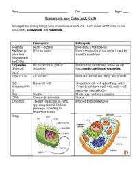 Each member must contribute one complete sentence. Prokaryotic And Eukaryotic Cells By Mrs Quigleys Classroom Spectacular