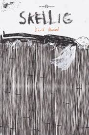 Skellig Book Cover Book Cover Art Book Art Book Cover Design