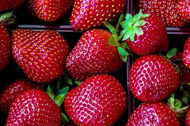 How long will strawberries stay fresh in the refrigerator? How To Store Strawberries So They Ll Last Longer Laptrinhx News