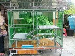Cara membuat sangkar kucing d i y menggunakan pvc paip jimat habis youtube. Cara Buat Sangkar Kucing Pvc Pagar Rumah