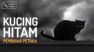 Entah digigit kucing hitam atau mungkin bermimpi digigit kucing kuning, semuanya datang dari alam bawah sadar kita. Kucing Hitam Pertanda Petaka Youtube
