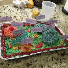 Maybe you would like to learn more about one of these? 3d Cell Model Made Out Of Candy And Homemade Rice Crispy Treat Took Under An Hour Edible Cell Plant Cell Project Edible Cell Project