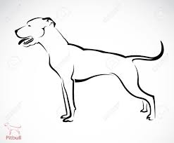 Vector Image Of An Pitbull Dog On White Background Royalty Free Cliparts Vectors And Stock Illustration Image 23847945