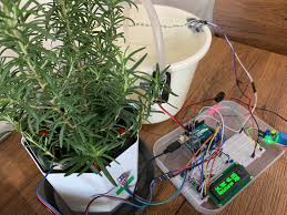 Automatic Plant Watering System