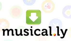 How To Download Musically Videos To Windows 10 Pc Is There An Musical Ly Video Downloader To Make Everything Easier Come And Get The Ans Music Videos Video